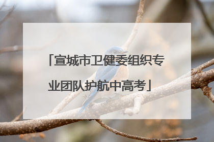 宣城市卫健委组织专业团队护航中高考