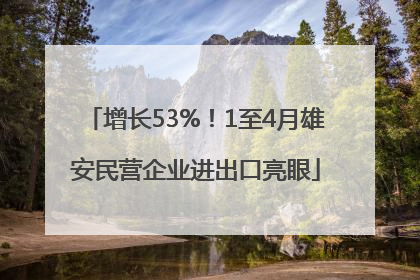 增长53%！1至4月雄安民营企业进出口亮眼