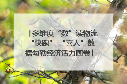 多维度“数”读物流“快跑” “喜人”数据勾勒经济活力画卷
