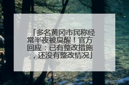 多名黄冈市民称经常半夜被臭醒！官方回应：已有整改措施，还没有整改情况