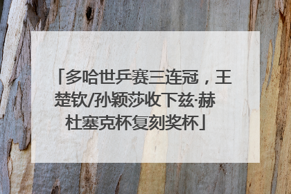 多哈世乒赛三连冠，王楚钦/孙颖莎收下兹·赫杜塞克杯复刻奖杯