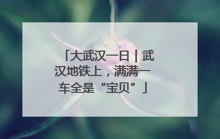 大武汉一日｜武汉地铁上，满满一车全是“宝贝”