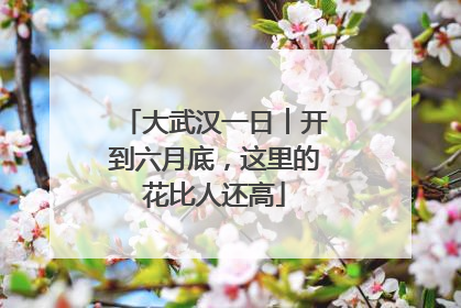 大武汉一日︱开到六月底，这里的花比人还高