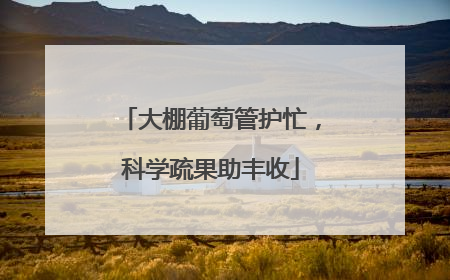 大棚葡萄管护忙，科学疏果助丰收