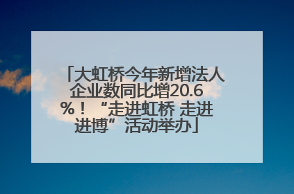 大虹桥今年新增法人企业数同比增20.6%！“走进虹桥 走进进博”活动举办