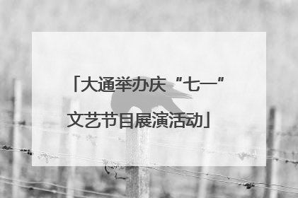大通举办庆“七一”文艺节目展演活动