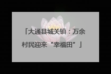 大通县城关镇：万余村民迎来“幸福田”