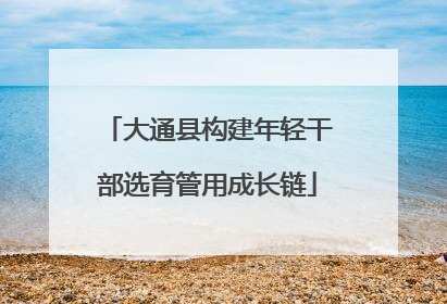 大通县构建年轻干部选育管用成长链