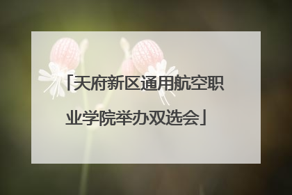 天府新区通用航空职业学院举办双选会