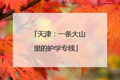 天津：一条大山里的护学专线
