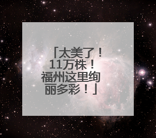 太美了！11万株！福州这里绚丽多彩！