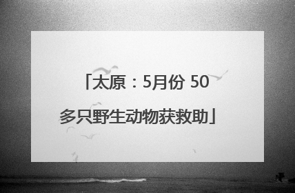 太原：5月份 50多只野生动物获救助