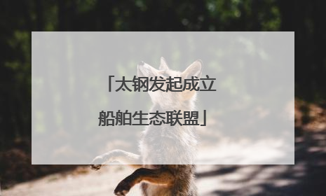 太钢发起成立船舶生态联盟