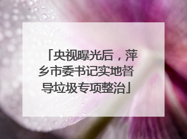 央视曝光后，萍乡市委书记实地督导垃圾专项整治