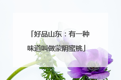 好品山东：有一种味道叫做蒙阴蜜桃