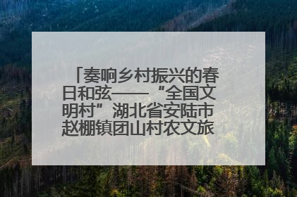 奏响乡村振兴的春日和弦——“全国文明村”湖北省安陆市赵棚镇团山村农文旅融合发展见闻