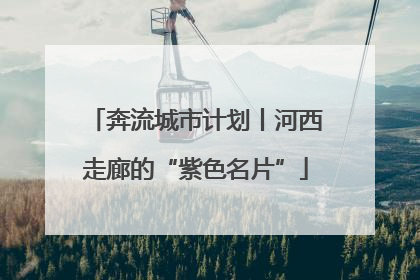 奔流城市计划丨河西走廊的“紫色名片”