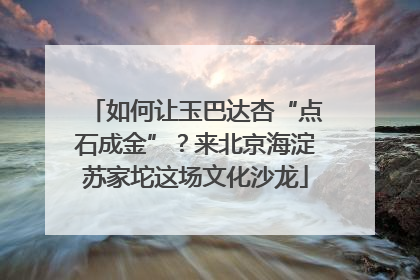 如何让玉巴达杏“点石成金”？来北京海淀苏家坨这场文化沙龙