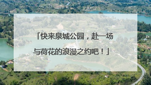 快来泉城公园，赴一场与荷花的浪漫之约吧！