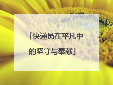 快递员在平凡中的坚守与奉献