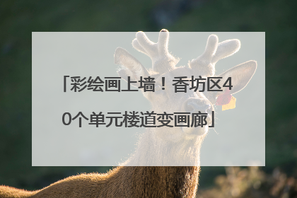 彩绘画上墙！香坊区40个单元楼道变画廊