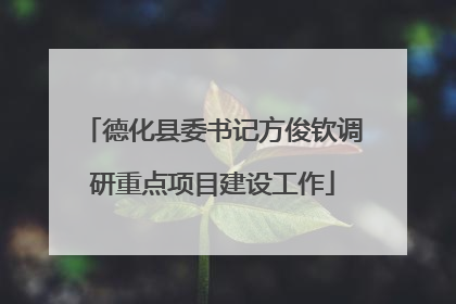 德化县委书记方俊钦调研重点项目建设工作