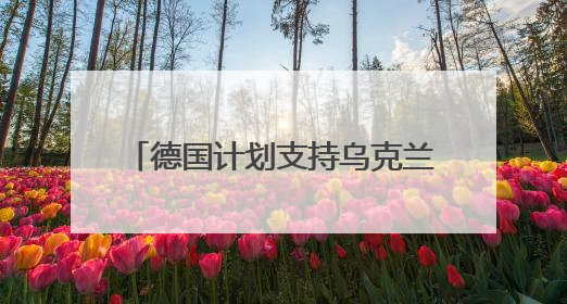 德国计划支持乌克兰生产远程武器 还将提供50亿欧元军援