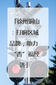 徐州铜山：打响区域品牌，助力“杏”福经济