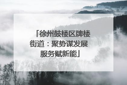 徐州鼓楼区牌楼街道：聚势谋发展 服务赋新能