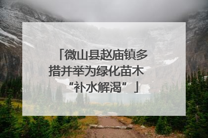 微山县赵庙镇多措并举为绿化苗木“补水解渴”