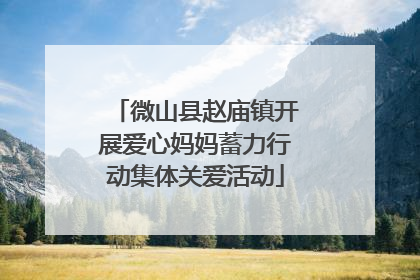 微山县赵庙镇开展爱心妈妈蓄力行动集体关爱活动
