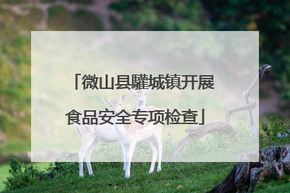 微山县驩城镇开展食品安全专项检查