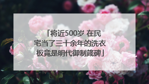将近500岁 在民宅当了三十余年的洗衣板竟是明代御制箴碑