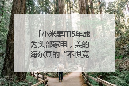 小米要用5年成为头部家电，美的海尔真的“不惧竞争”？｜热财经