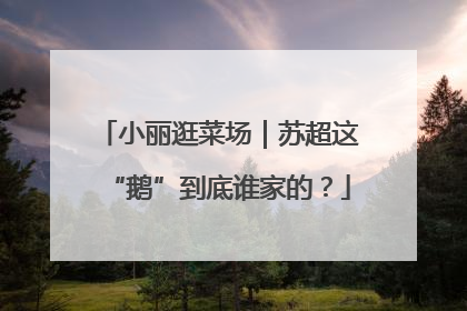 小丽逛菜场｜苏超这“鹅”到底谁家的？