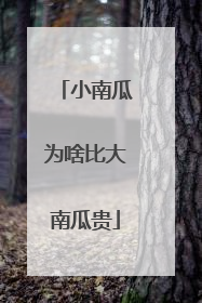 小南瓜为啥比大南瓜贵