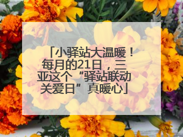 小驿站大温暖！每月的21日，三亚这个“驿站联动关爱日”真暖心