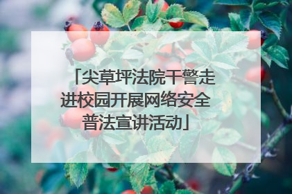 尖草坪法院干警走进校园开展网络安全普法宣讲活动