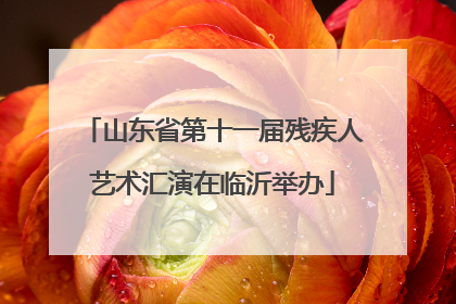 山东省第十一届残疾人艺术汇演在临沂举办