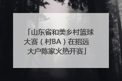 山东省和美乡村篮球大赛（村BA）在招远大户陈家火热开赛