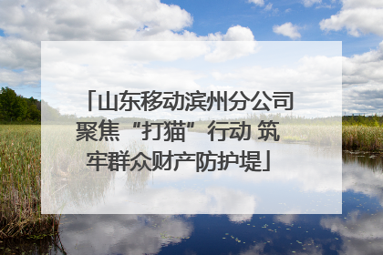 山东移动滨州分公司聚焦“打猫”行动 筑牢群众财产防护堤