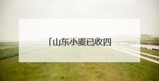 山东小麦已收四成 单日上阵八万余台联合收割机