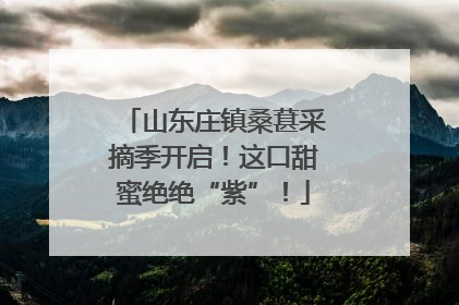 山东庄镇桑葚采摘季开启！这口甜蜜绝绝“紫”！