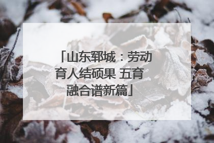 山东郓城：劳动育人结硕果 五育融合谱新篇