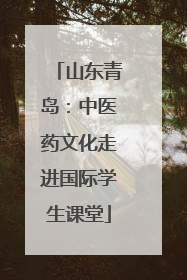 山东青岛：中医药文化走进国际学生课堂