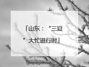 山东：“三夏”大忙进行时