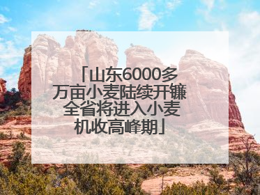 山东6000多万亩小麦陆续开镰 全省将进入小麦机收高峰期
