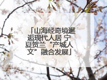 山海经奇境邂逅现代人居 宁夏贺兰“产城人文”融合发展