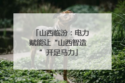 山西临汾：电力赋能让“山西智造”开足马力