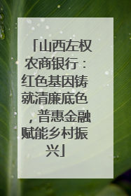 山西左权农商银行：红色基因铸就清廉底色，普惠金融赋能乡村振兴